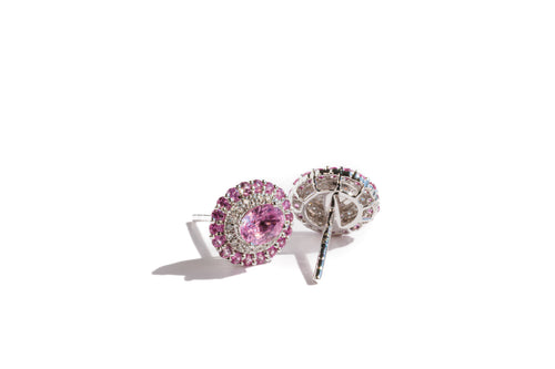 Pink Blossom Sapphire Earrings